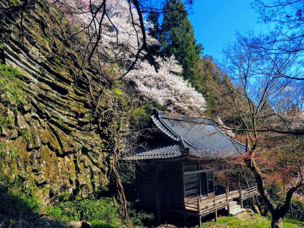 清滝観音の桜｜長野市