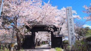 普願寺の桜｜須坂市