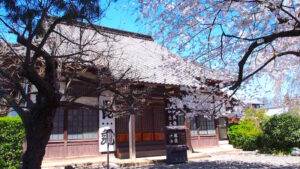 典厩寺の桜｜長野市