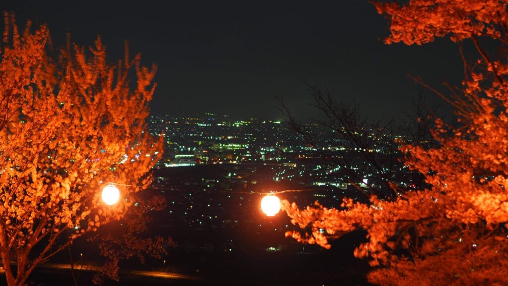 千曲公園の夜桜｜上田市