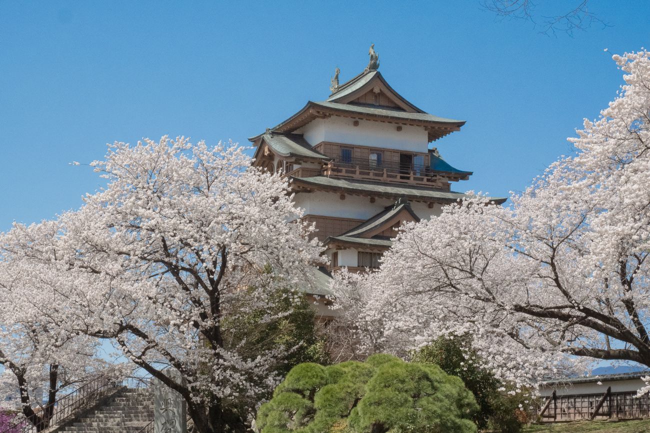 高島城の桜｜諏訪市