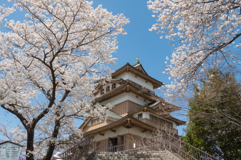 高島城の桜｜諏訪市