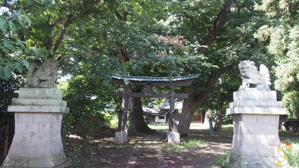 長野市篠ノ井からねこ神社