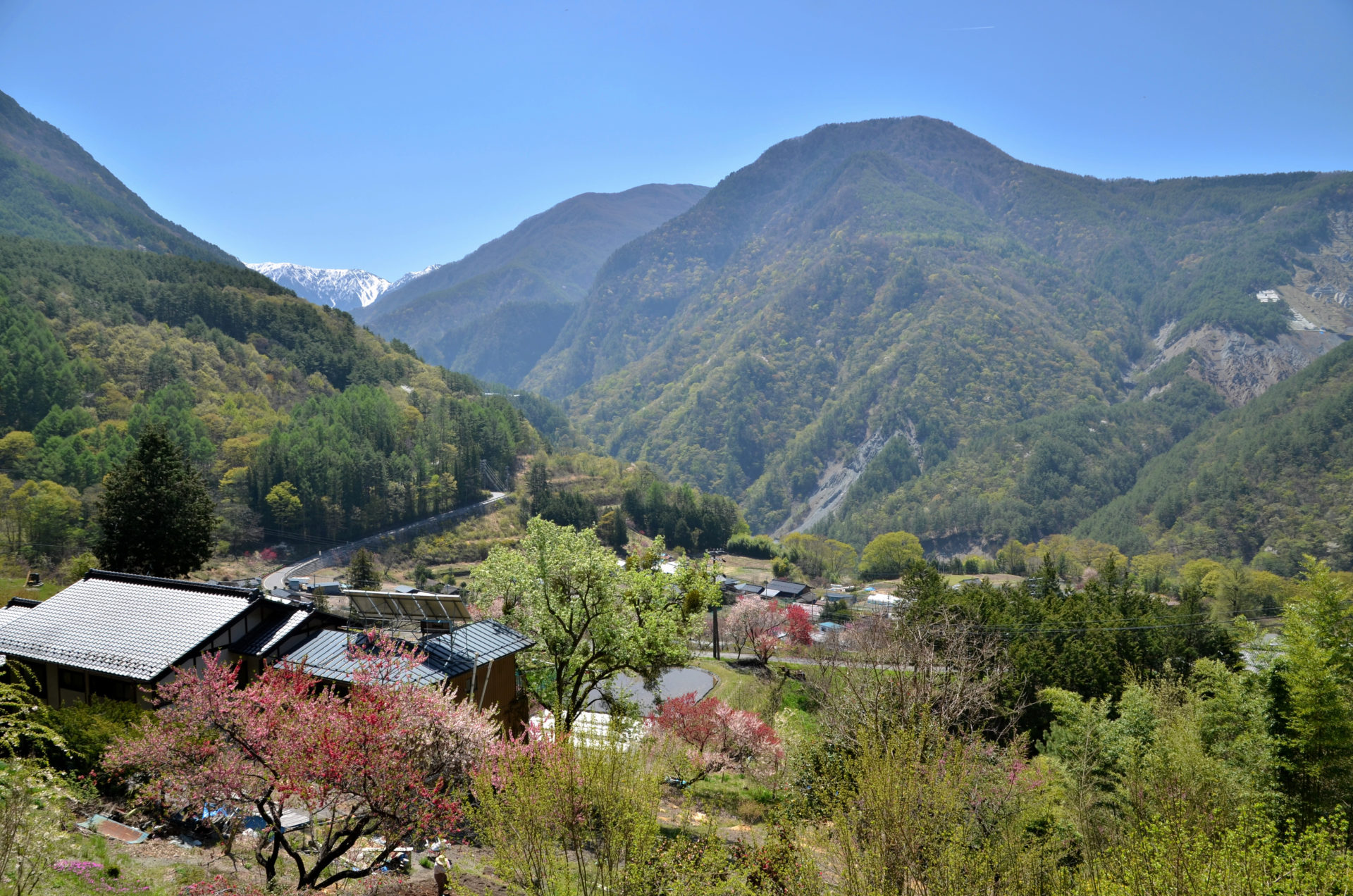 大鹿村