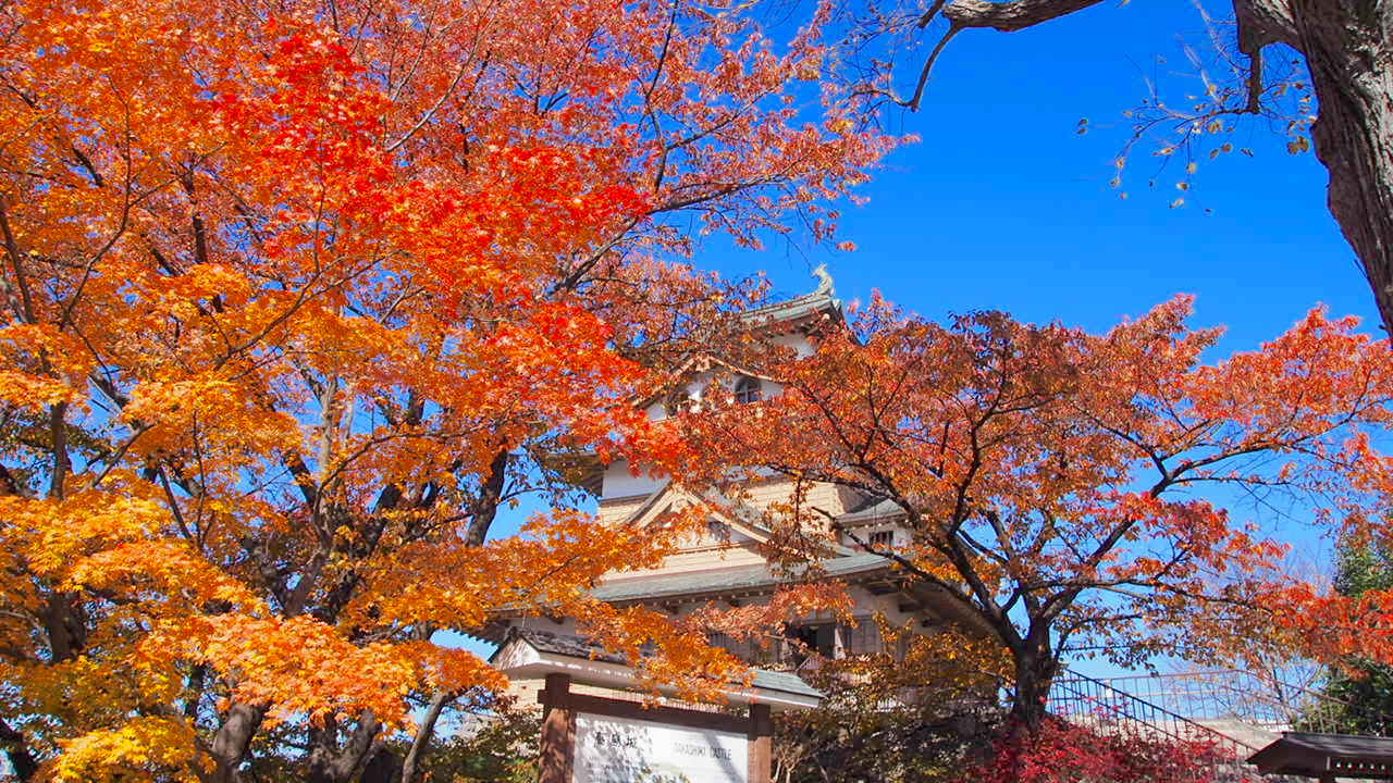 諏訪の高島城と紅葉