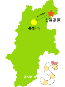 志賀高原の観光スポット 全部行ったおすすめまとめ Skima信州 長野県の観光ローカルメディア