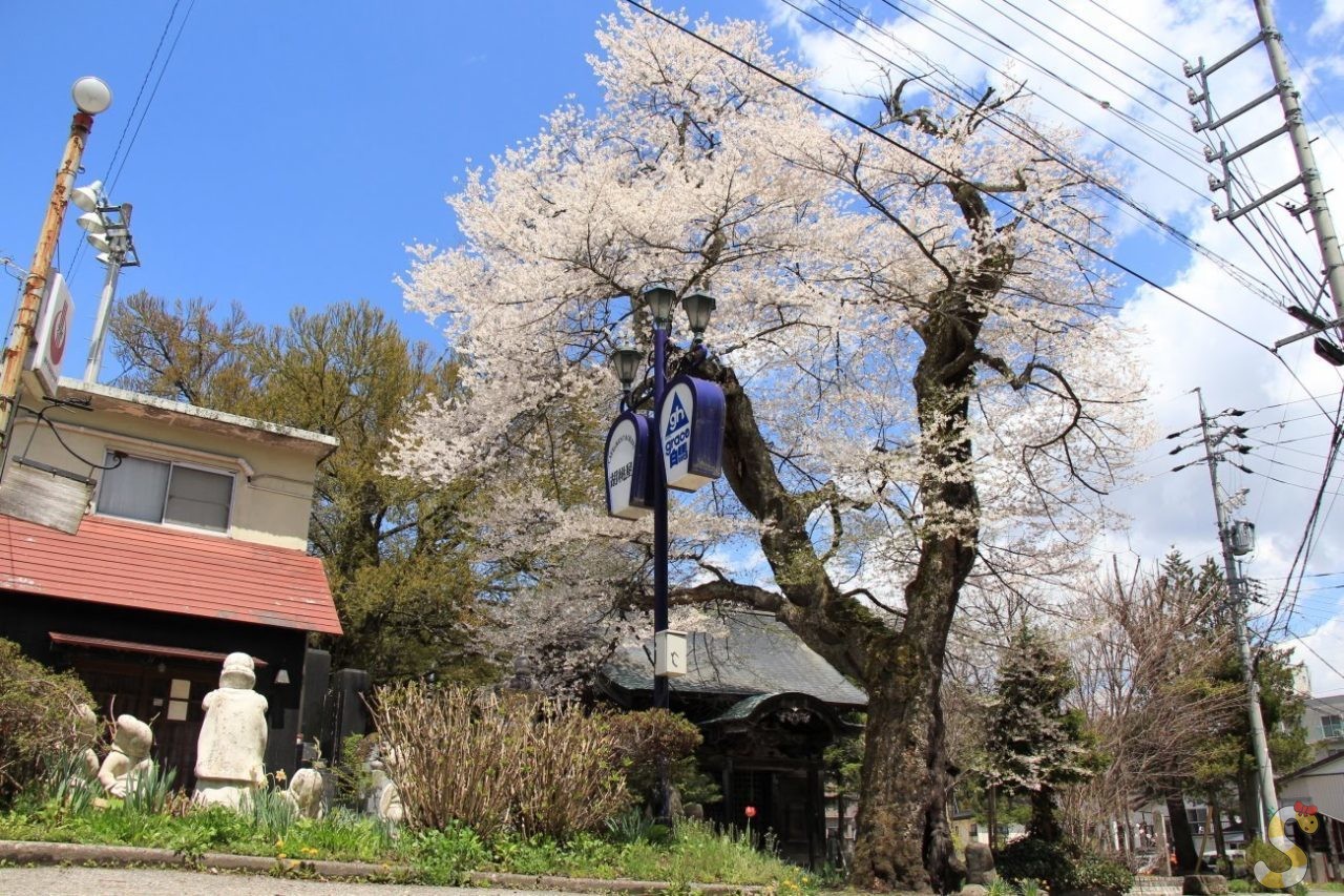 八方薬師堂の江戸彼岸