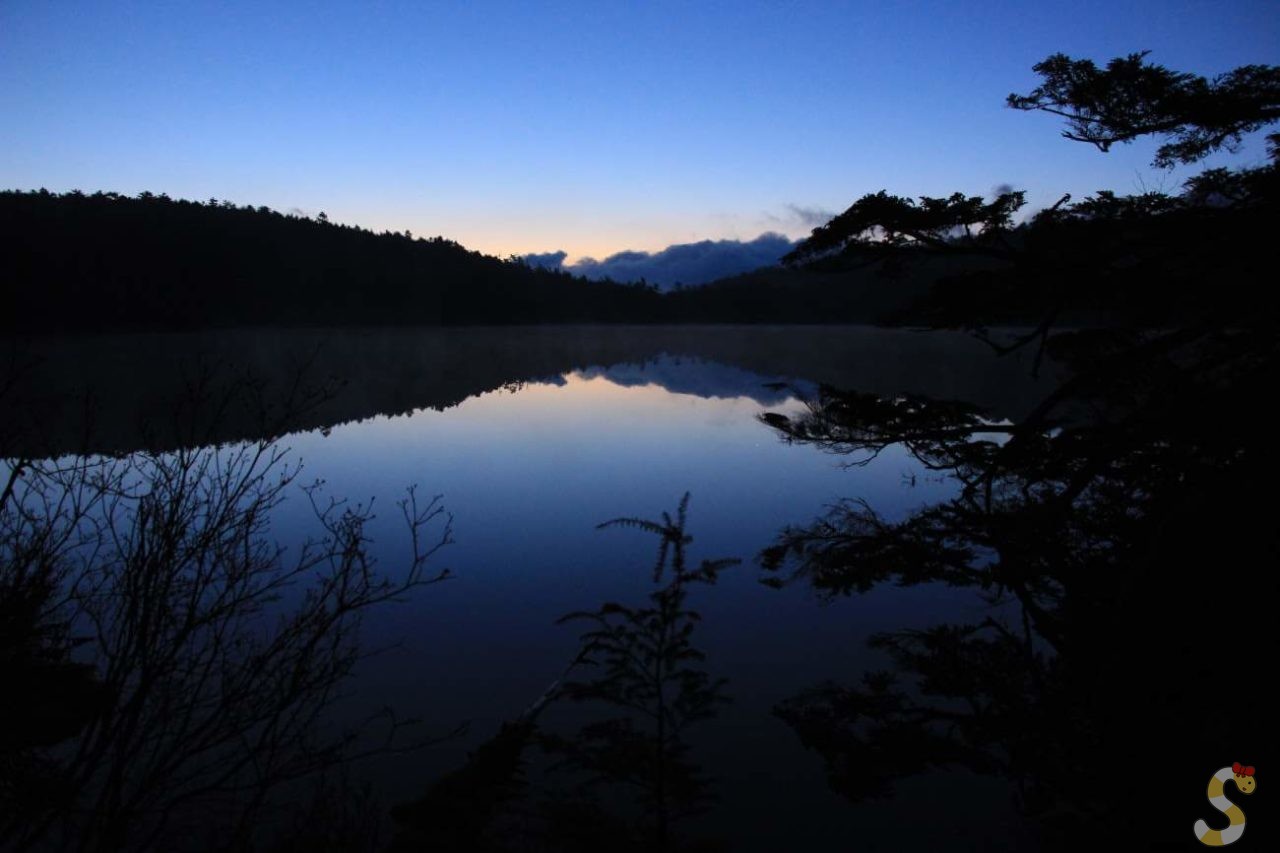 長野県白駒の池