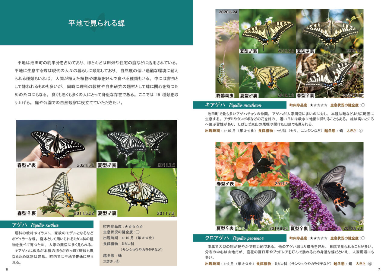 池田町の蝶類図鑑