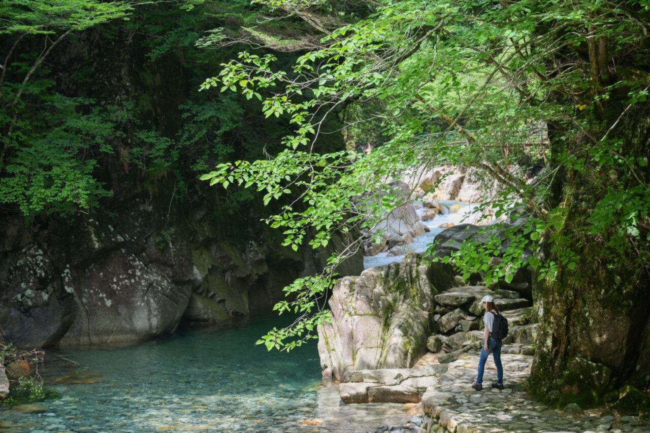 柿其渓谷|木曽大桑村