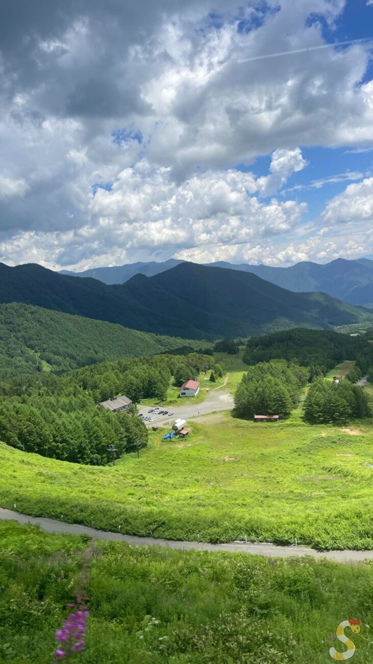 乗鞍高原・乗鞍岳畳平へ｜松本市