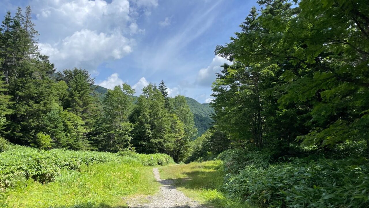 乗鞍高原「三本滝」｜松本市