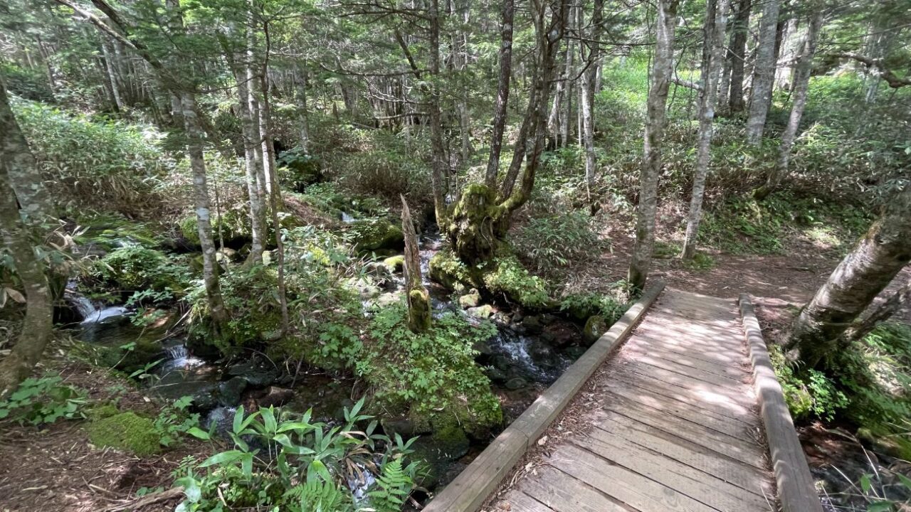 乗鞍高原「三本滝」｜松本市