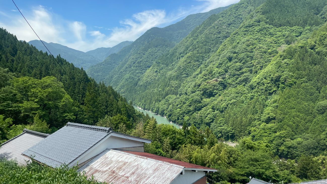 中井侍 お茶摘みツアー｜天龍村