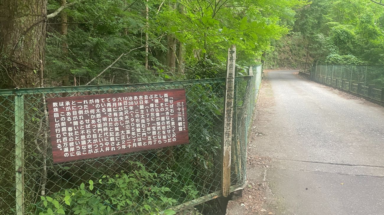 中井侍 お茶摘みツアー｜天龍村