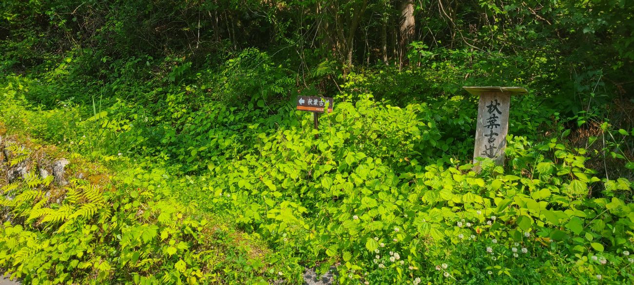 【大鹿村】歴史の道「秋葉古道」を歩いてみた