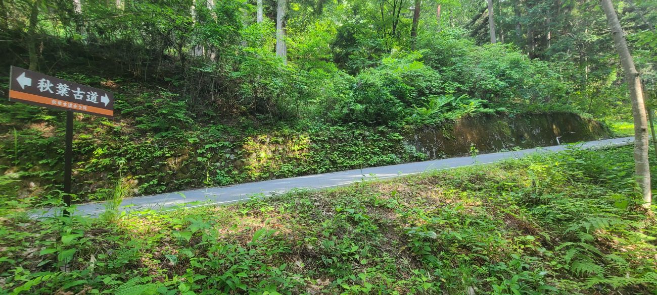 【大鹿村】歴史の道「秋葉古道」を歩いてみた