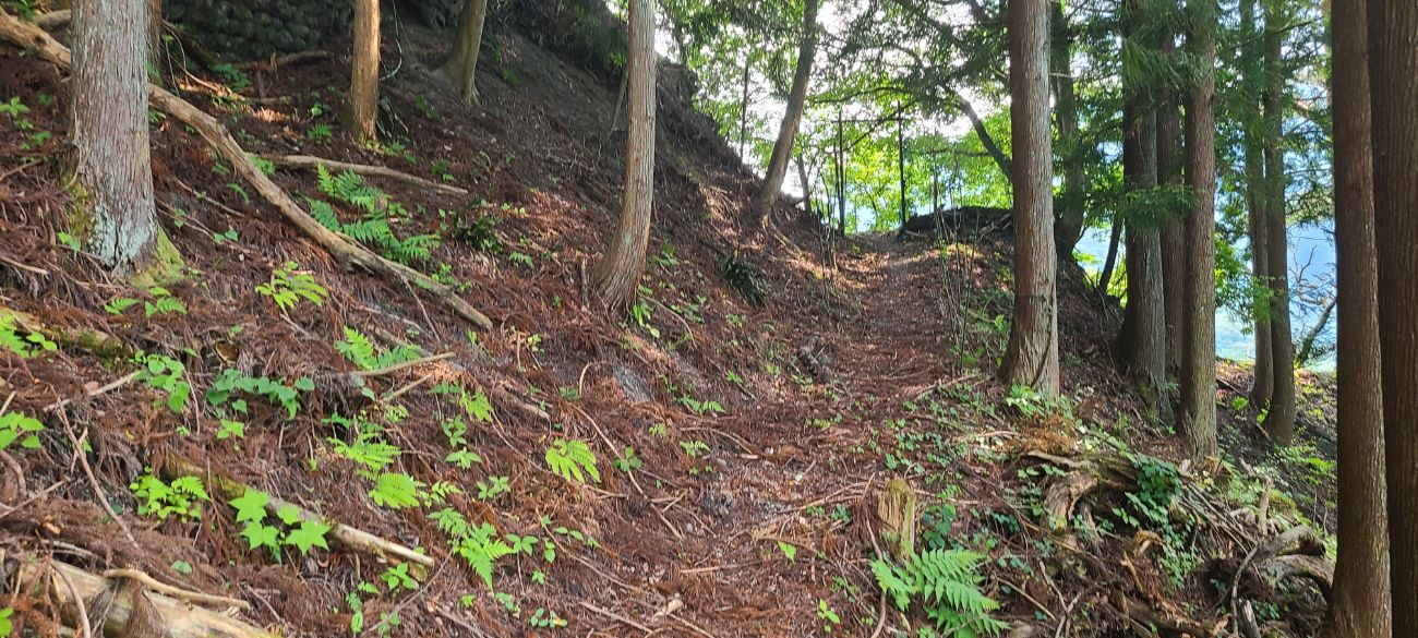 【大鹿村】歴史の道「秋葉古道」を歩いてみた