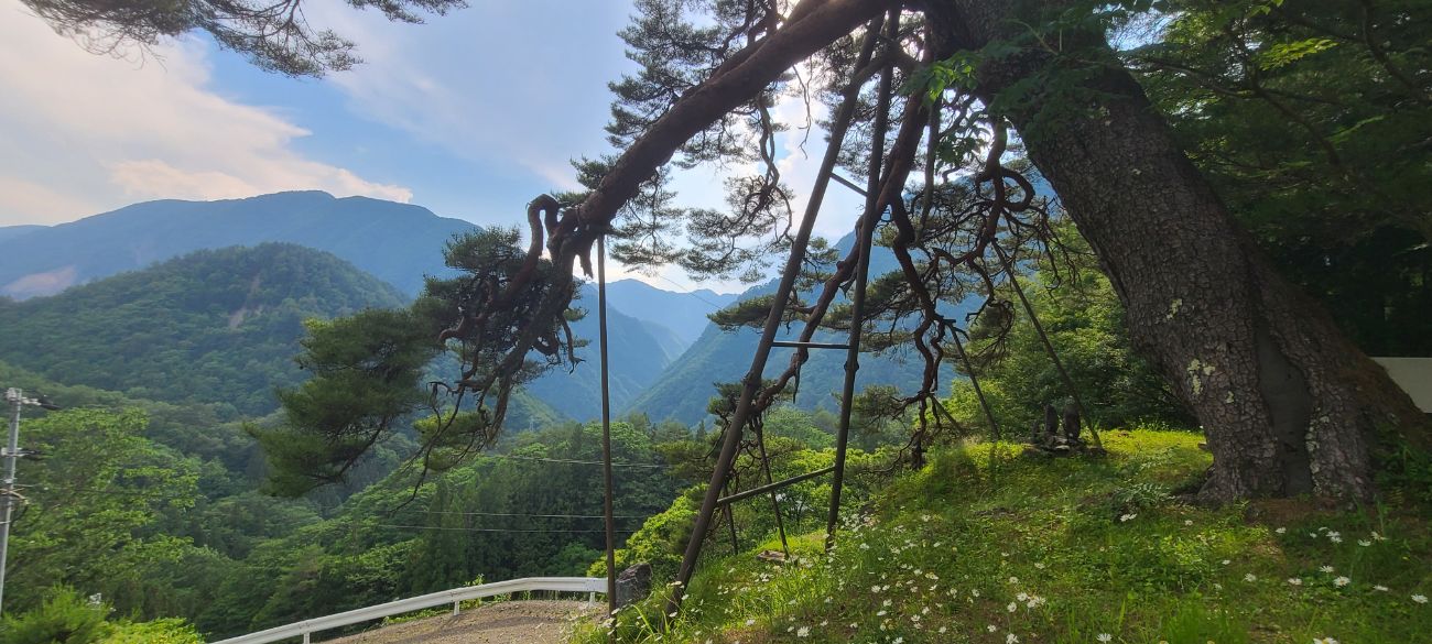 【大鹿村】歴史の道「秋葉古道」を歩いてみた