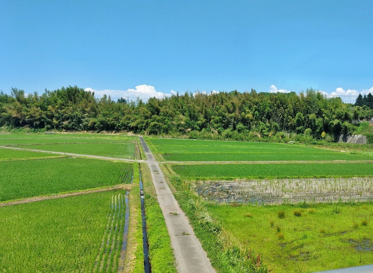 天竜川水域の治水構造物めぐりで先人の偉大さを知ろう！