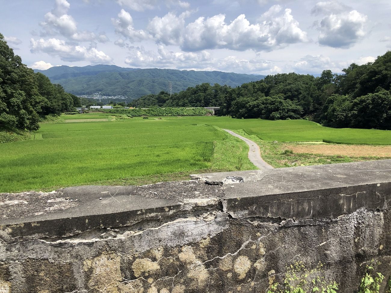 天竜川水域の治水構造物めぐりで先人の偉大さを知ろう！