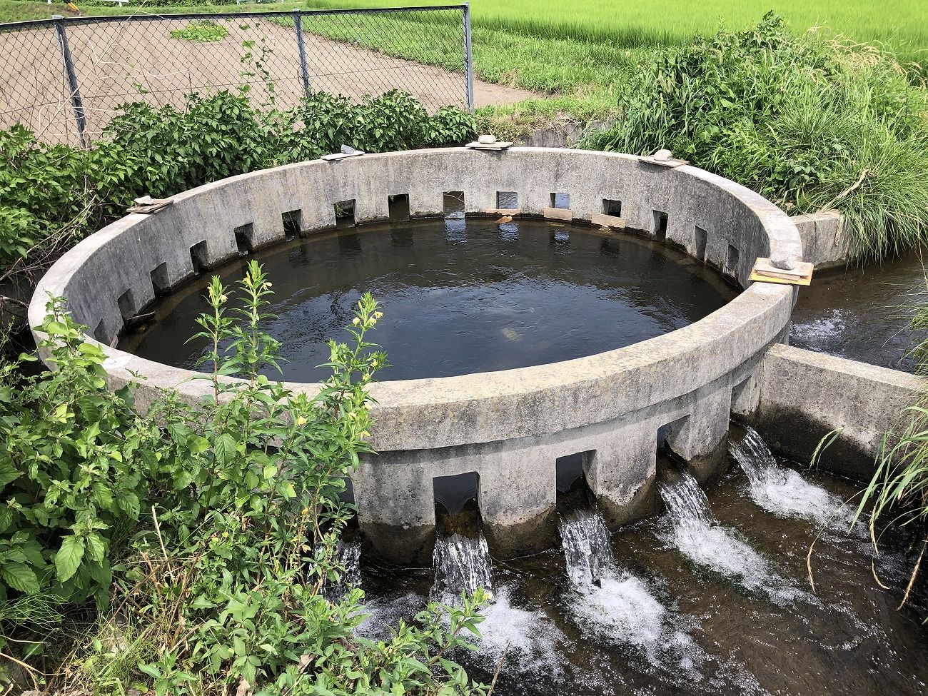 天竜川水域の治水構造物めぐりで先人の偉大さを知ろう！