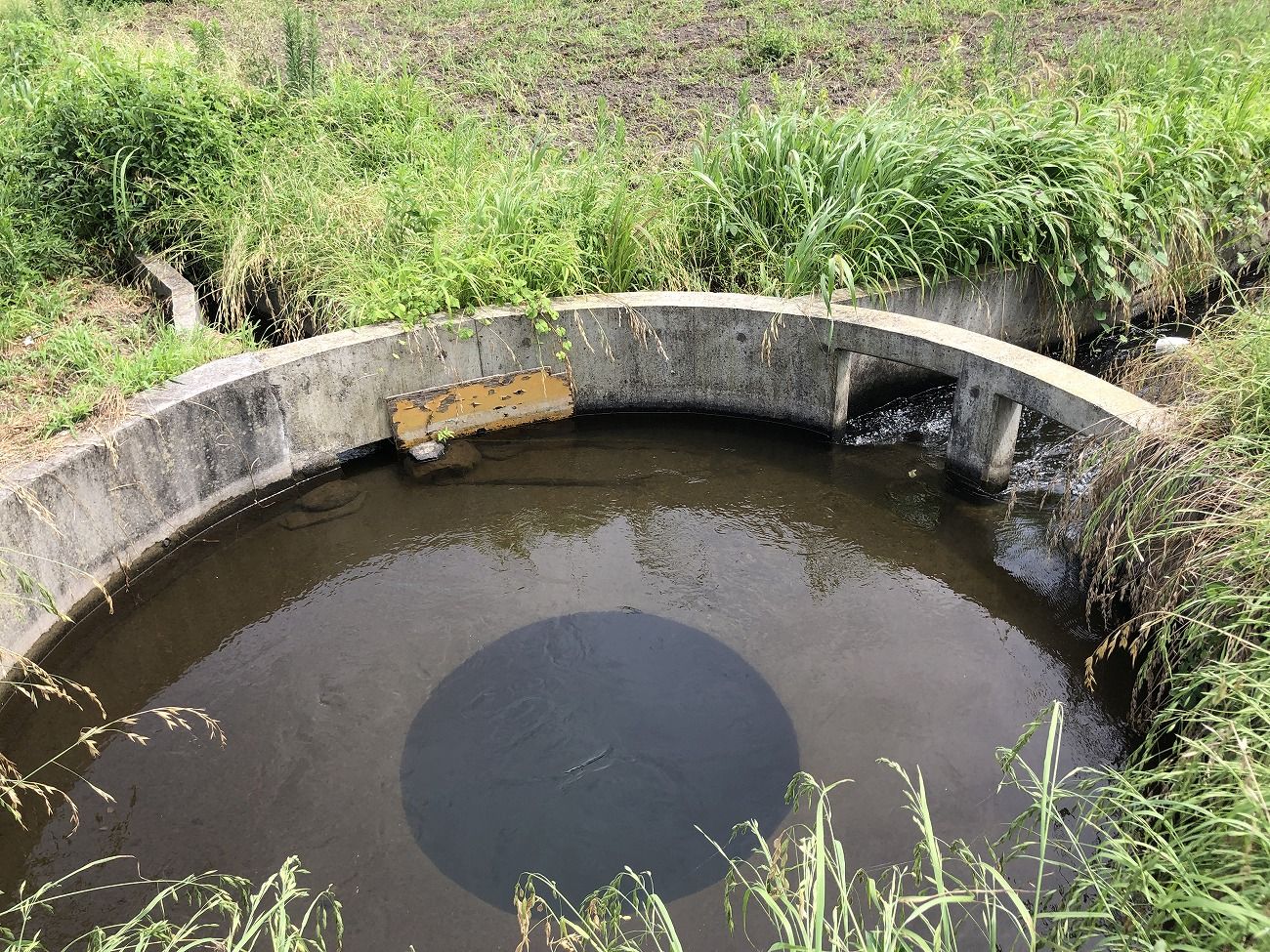 天竜川水域の治水構造物めぐりで先人の偉大さを知ろう！