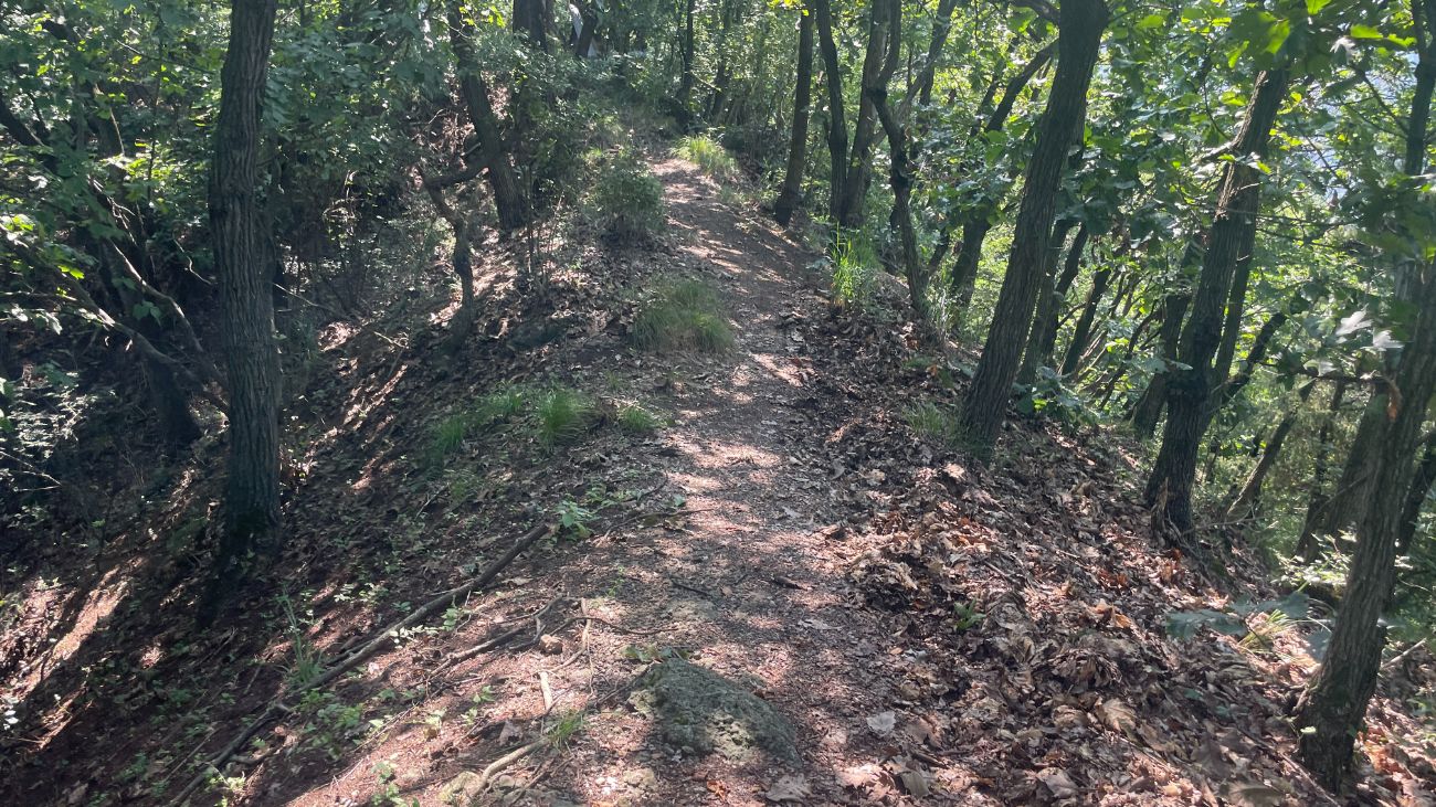 【長野市の山城】春山城跡トレッキング体験談