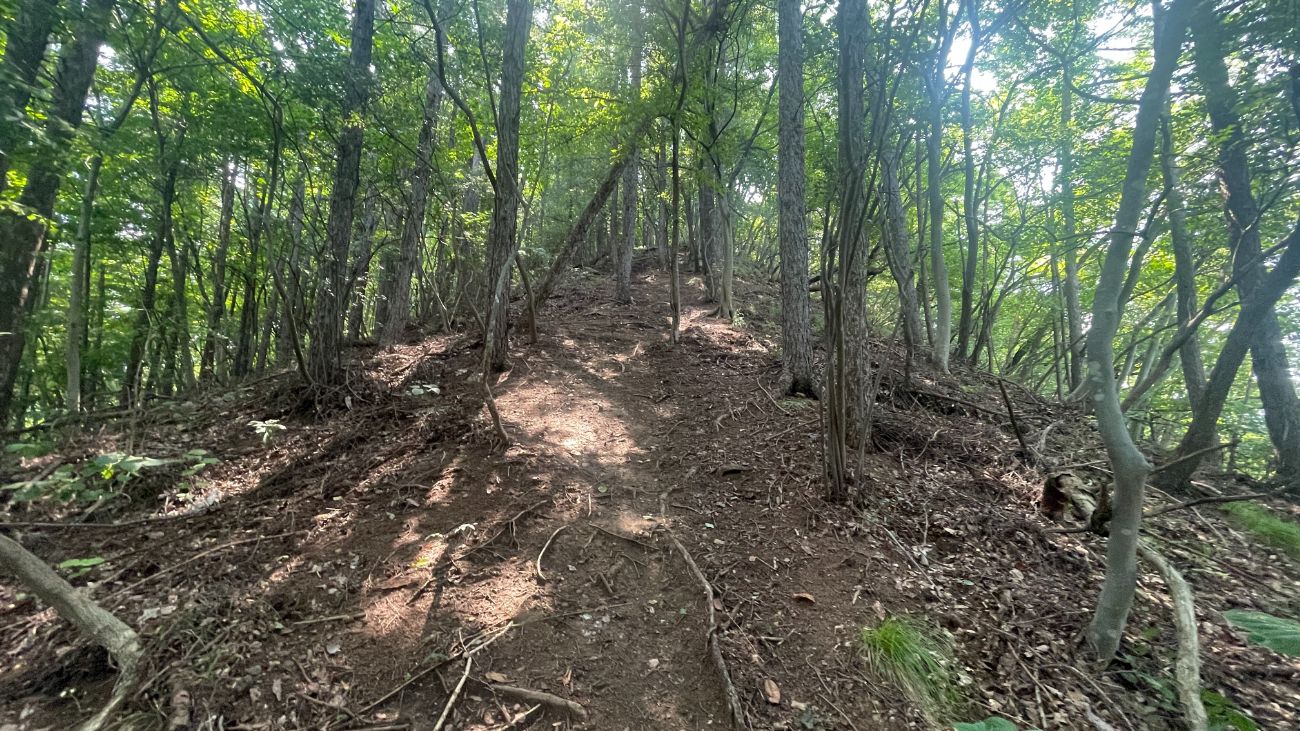 【長野市の山城】春山城跡トレッキング体験談