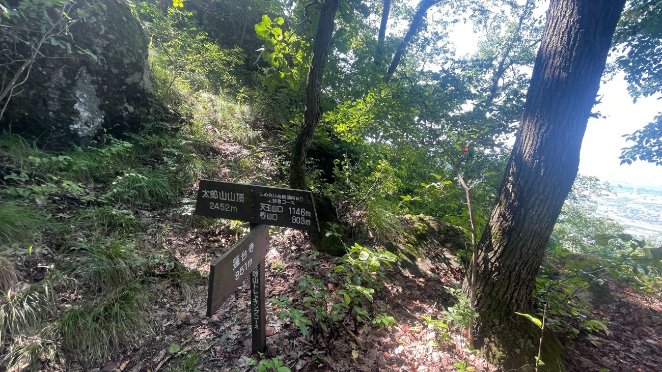 【長野市の山城】春山城跡トレッキング体験談