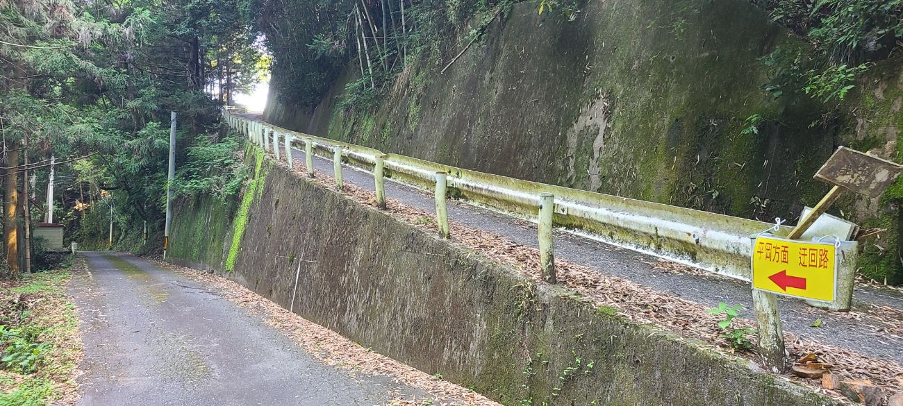 天龍村｜飯田線の秘境駅、中井侍駅から平岡駅まで散歩してきました