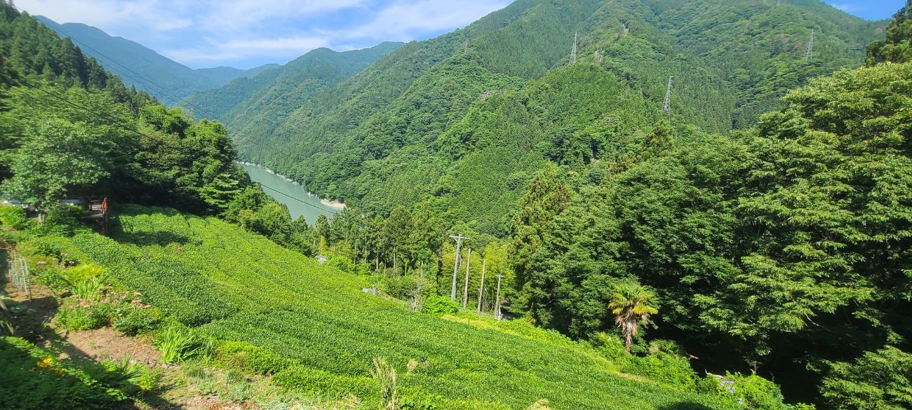 天龍村｜飯田線の秘境駅、中井侍駅から平岡駅まで散歩してきました