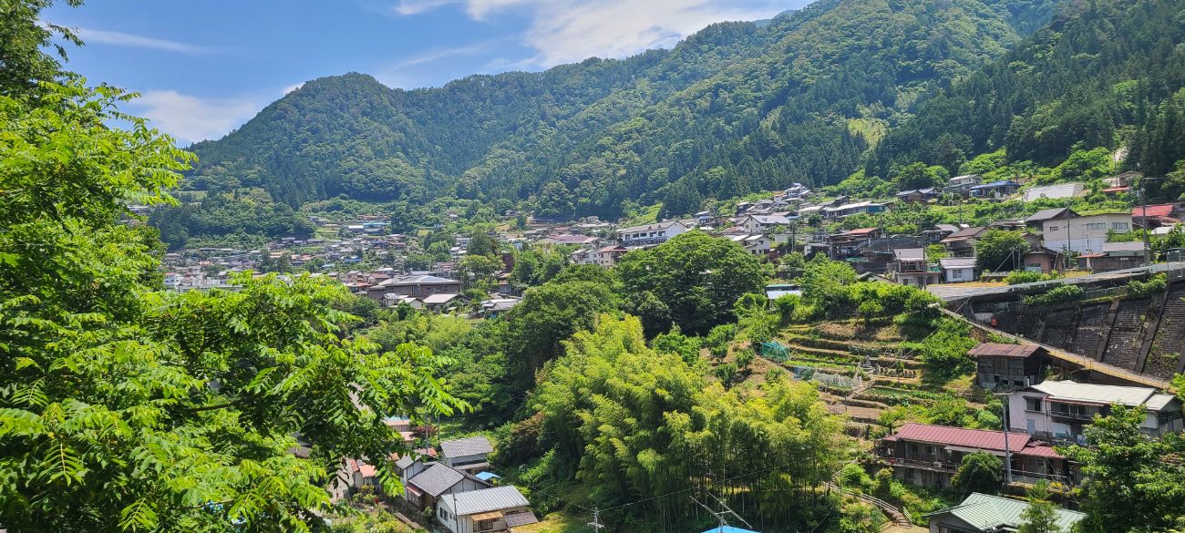 天龍村｜飯田線の秘境駅、中井侍駅から平岡駅まで散歩してきました