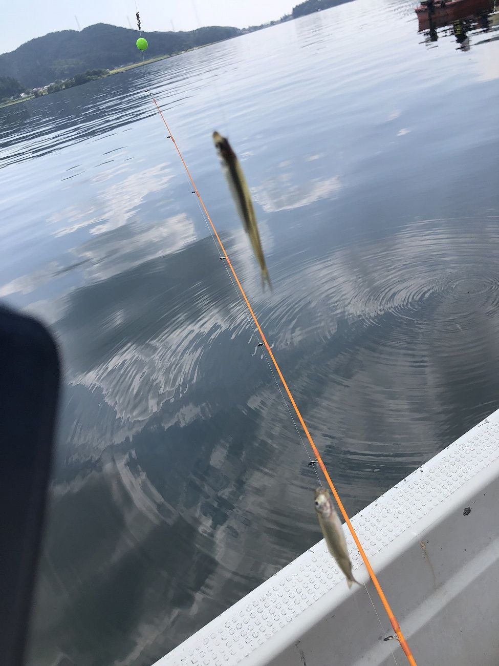 木崎湖のアクティビティ！手軽に挑戦できるワカサギ釣りがおすすめ！大町市