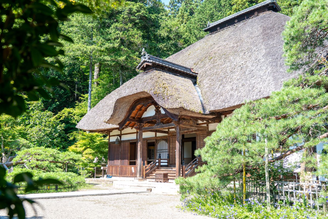 【別所温泉】北向観音が64年ぶりにご開帳！歴史と見どころを案内していただきました