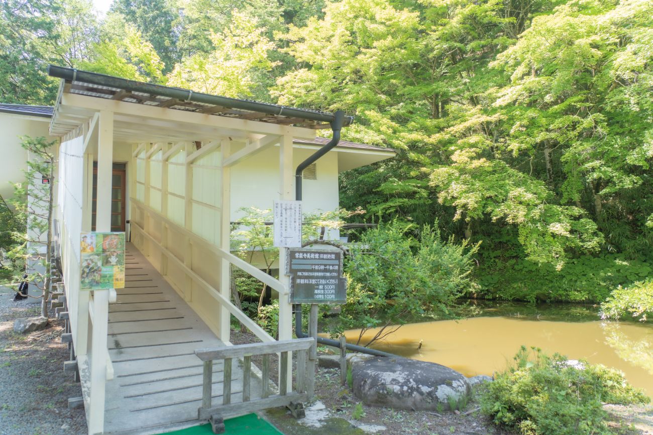 【別所温泉】北向観音が64年ぶりにご開帳！歴史と見どころを案内していただきました