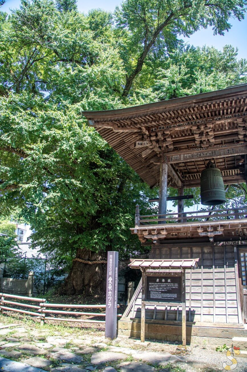 【別所温泉】北向観音が64年ぶりにご開帳！歴史と見どころを案内していただきました