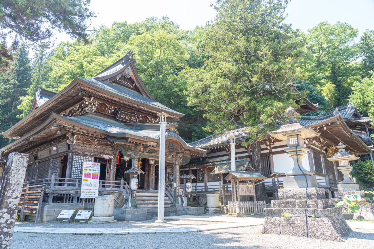 【別所温泉】北向観音が64年ぶりにご開帳！歴史と見どころを案内していただきました