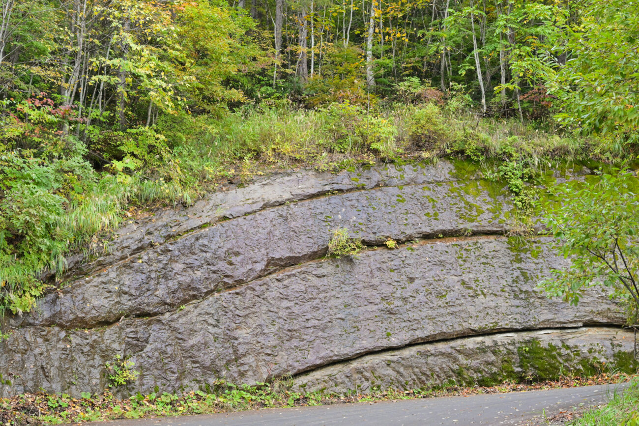 奥裾花渓谷〜奥裾花自然園|鬼無里でサイクリング!秋の「奥裾花自然園」へ|紅葉と里山グルメを楽しむ